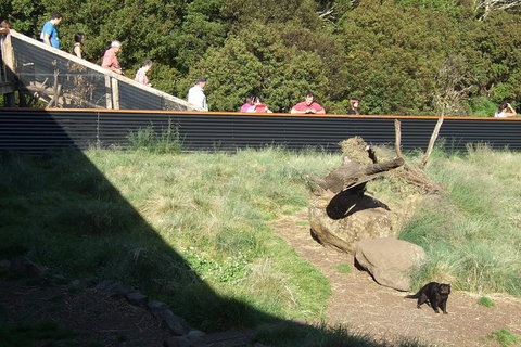 Day Keeper Tour - Great Ocean Road Restaurant 2