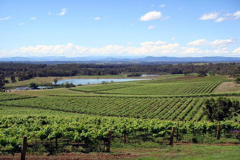 Private Hunter Valley Wine-Tasting Day Tour From Sydney - Great Ocean Road Restaurant 0