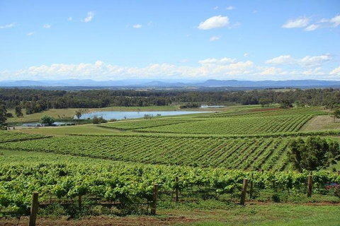 Private Hunter Valley Wine-Tasting Day Tour From Sydney - Great Ocean Road Restaurant 1