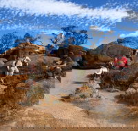 The Big Wave Rock Private Day Tour - Great Ocean Road Restaurant