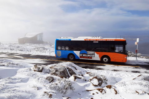 Kunanyi/Mt Wellington Tour & Hobart Hop-On Hop-Off Bus - Great Ocean Road Restaurant 2