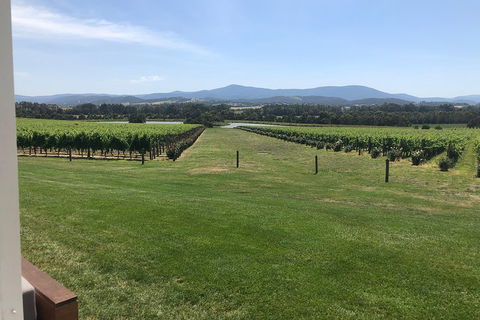Yarra Valley, Dandenong Ranges Inc. Lunch With Wine,plus Morning Tea,chocolate - Great Ocean Road Restaurant 3