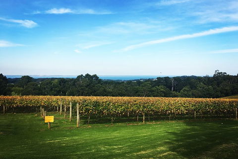 Yarra Valley Private Car Winery Tour And Chocolate.1-7 Passengers One Car Price - Great Ocean Road Restaurant 0