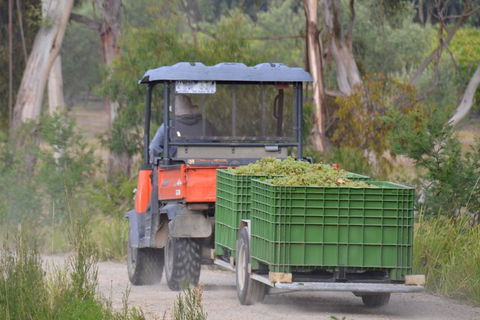 Yarra Valley Private Car Winery Tour And Chocolate.1-7 Passengers One Car Price - Great Ocean Road Restaurant 1
