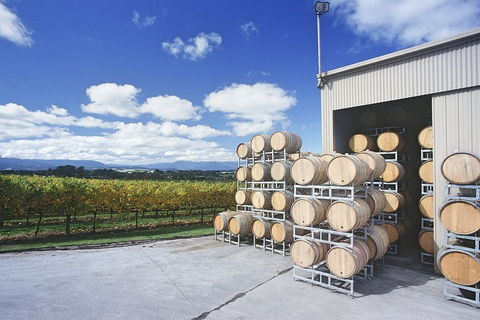 Yarra Valley Private Car Winery Tour And Chocolate.1-7 Passengers One Car Price - Great Ocean Road Restaurant 2