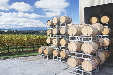 Yarra Valley Wine Tour Inc Lunch With A Glass Of Wine, Tastings And Chocolate - Great Ocean Road Restaurant 4