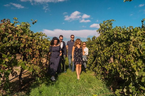 Barossa Valley Private Tour (from 2 To 11 People) - Great Ocean Road Restaurant 0