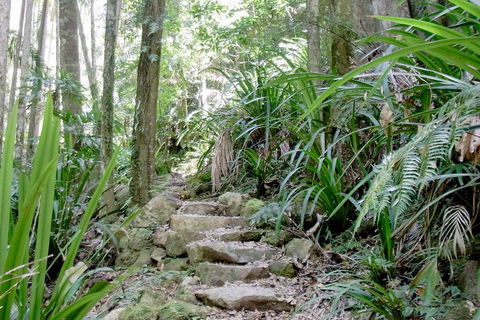 Byron Bay Combo: Minyon Falls And Hinterland Day Trip And Learn To Surf At Byron Bay - Great Ocean Road Restaurant 3