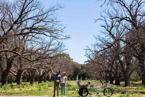 Adelaide 90-Minute Pedicab Tour: Scenic Green & River Experience - Great Ocean Road Restaurant 1