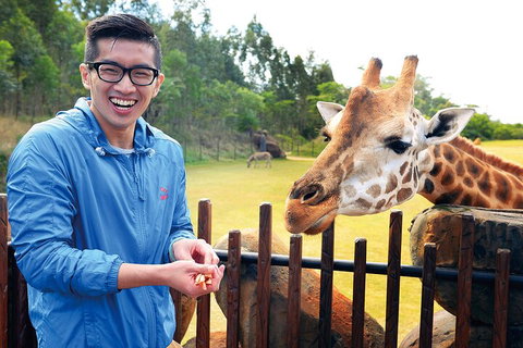 Croc Express To Australia Zoo From Gold Coast - Great Ocean Road Restaurant 1