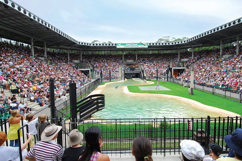Croc Express To Australia Zoo From Gold Coast - Great Ocean Road Restaurant 2
