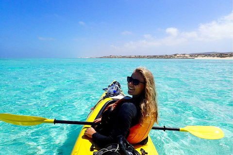 Lagoon Explorer - Ningaloo Reef Full-Day Kayaking And Snorkeling Adventure - Great Ocean Road Restaurant 1