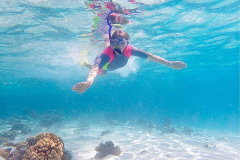 Lagoon Explorer - Ningaloo Reef Full-Day Kayaking And Snorkeling Adventure - Great Ocean Road Restaurant 5