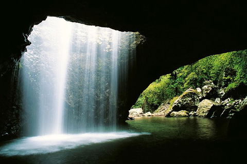 Natural Bridge & Springbrook Waterfalls Tour - Great Ocean Road Restaurant 0