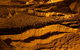 The Explorers' Discovery Tour - Gold, Wine & Wildlife - thumb 0