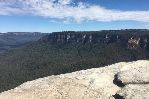 The Explorers' Discovery Tour - Gold, Wine & Wildlife - Great Ocean Road Restaurant 1