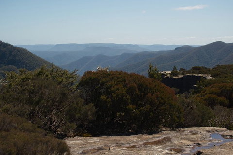 The Explorers' Discovery Tour - Gold, Wine & Wildlife - Great Ocean Road Restaurant 3