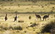 The Explorers' Discovery Tour - Gold, Wine & Wildlife - thumb 5