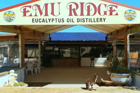 2-Day Kangaroo Island Safari From Adelaide - Great Ocean Road Restaurant 4