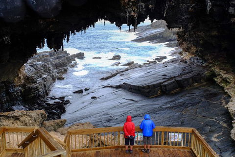 2-Day Kangaroo Island Safari From Adelaide - Great Ocean Road Restaurant 5