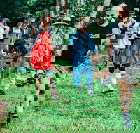 Let's Go Buggin  Let's Go Shroomin - Photography  Nature Walking Tours - Great Ocean Road Restaurant