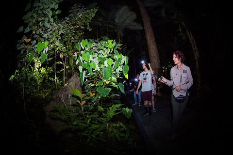 Let's Go Buggin & Let's Go Shroomin - Photography & Nature Walking Tours - Great Ocean Road Restaurant 4
