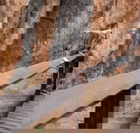 Chillagoe Caves and Outback Day Trip from Cairns - Great Ocean Road Restaurant