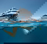 3 Day Great Barrier Reef Daintree Rainforest and Outback Chillagoe Tour - Great Ocean Road Restaurant