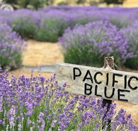 Kangaroo Island Food and Wine Trail Tour - Great Ocean Road Restaurant