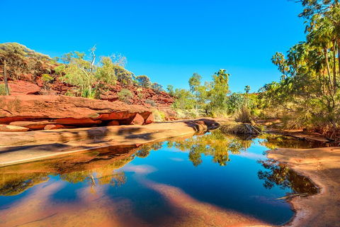 7-Day Guided Tour Of Alice Springs With Accommodation Included - Great Ocean Road Restaurant 1
