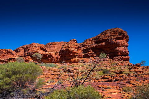 7-Day Guided Tour Of Alice Springs With Accommodation Included - Great Ocean Road Restaurant 4