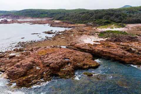 Port Stephens Bush, Beach And Sand Dune 4WD Tag-Along Tour - Great Ocean Road Restaurant 4