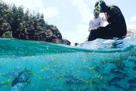 2 Night Small Group Whitsundays Sailing Adventure Aboard Mandrake - Great Ocean Road Restaurant 5