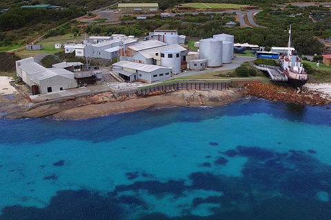 Albany's Whale Story - Great Ocean Road Restaurant 4