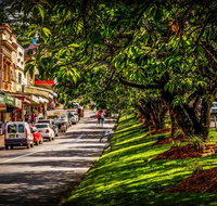 Fully Inclusive Blue Mountains Private Tour inc Scenic World  Featherdale entry - Great Ocean Road Restaurant