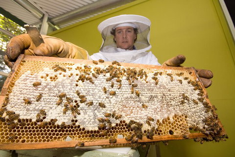 The Ginger Factory Play, Taste & Discover Bundle Admission Ticket - Great Ocean Road Restaurant 2