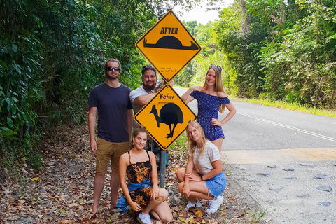 Cape Tribulation, Daintree Rainforest And Wildlife Tour - Great Ocean Road Restaurant 0