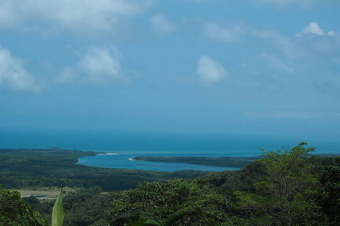 Cape Tribulation, Daintree Rainforest And Wildlife Tour - Great Ocean Road Restaurant 1