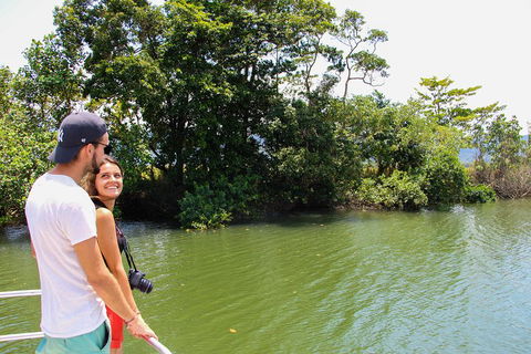 Cape Tribulation, Daintree Rainforest And Wildlife Tour - Great Ocean Road Restaurant 2