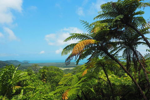 Cape Tribulation, Daintree Rainforest And Wildlife Tour - Great Ocean Road Restaurant 3