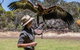 One Day Kangaroo Island Sip & See Tour With Return Ferry Transfers From Adelaide - thumb 0