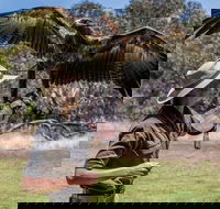 One Day Kangaroo Island Sip  See tour with return ferry transfers from Adelaide