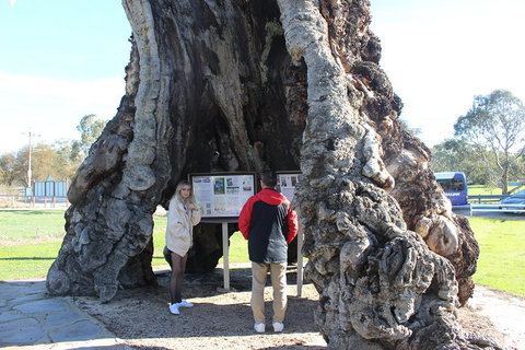 Barossa And Hahndorf Day Trip From Adelaide Including Wine Tasting And Lunch - Great Ocean Road Restaurant 1