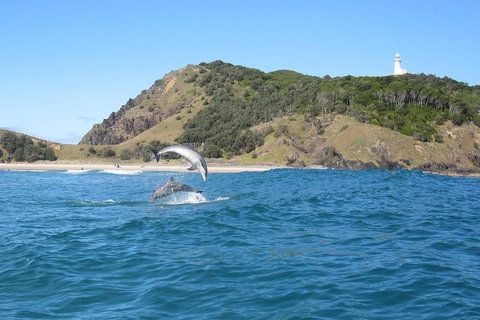 Kayaking With Dolphins In Byron Bay Guided Tour - Great Ocean Road Restaurant 0