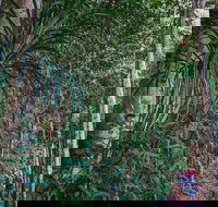 Atherton Tablelands Rain Forest by Night from Cairns - Great Ocean Road Restaurant