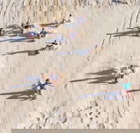 Unlimited Sandboarding - Great Ocean Road Restaurant