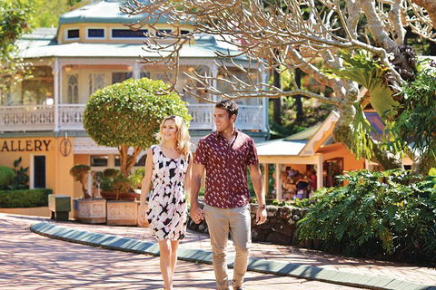 Sunshine Coast Hinterland Rainforest, Views And Montville Day Tour Inc. Lunch - Great Ocean Road Restaurant 4