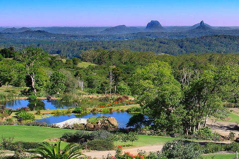 Sunshine Coast Hinterland Rainforest, Views And Montville Day Tour Inc. Lunch - Great Ocean Road Restaurant 5