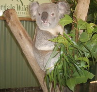 Blue Mountains Private Full-Day Tour from Sydney with Cruise - Great Ocean Road Restaurant