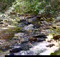 Springbrook Full Day Tour - Great Ocean Road Restaurant